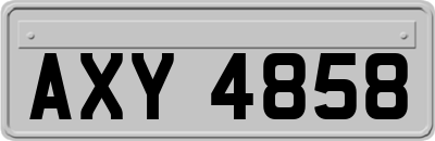 AXY4858