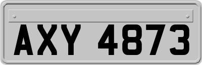 AXY4873