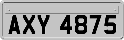 AXY4875