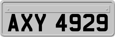 AXY4929