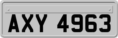 AXY4963