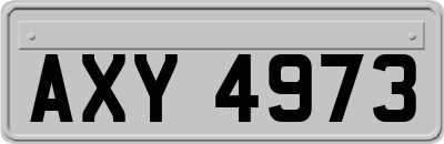 AXY4973