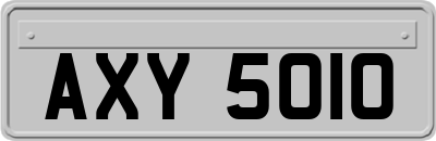 AXY5010