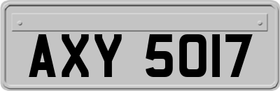 AXY5017