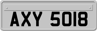 AXY5018