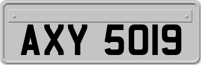 AXY5019