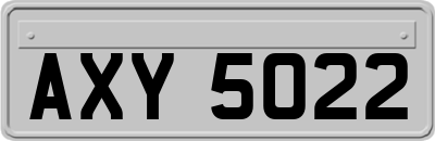 AXY5022