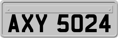 AXY5024