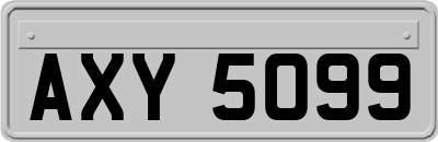 AXY5099