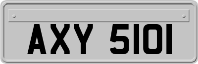 AXY5101