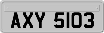 AXY5103