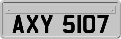 AXY5107