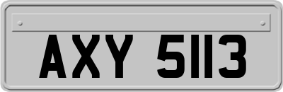 AXY5113