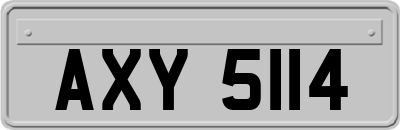 AXY5114