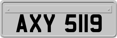 AXY5119