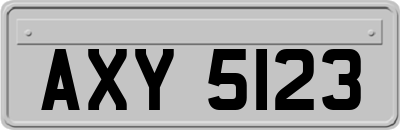 AXY5123