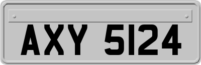 AXY5124