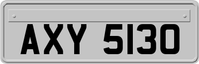 AXY5130