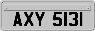 AXY5131