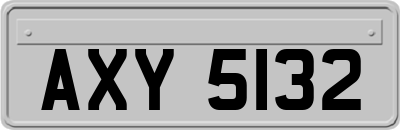 AXY5132