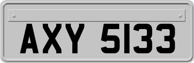 AXY5133