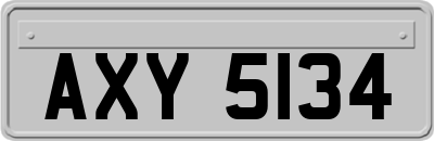 AXY5134
