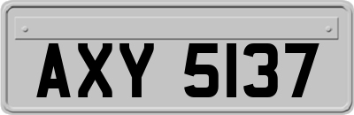AXY5137