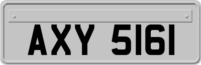 AXY5161