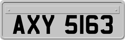 AXY5163