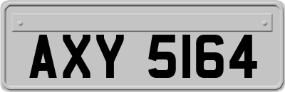 AXY5164
