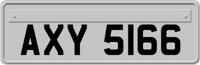 AXY5166