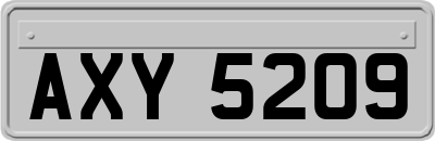 AXY5209