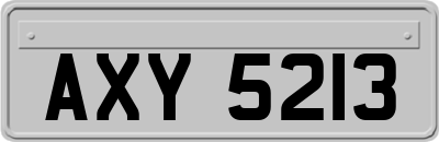 AXY5213