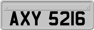 AXY5216