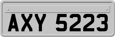 AXY5223