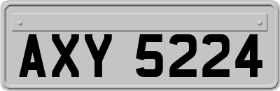 AXY5224