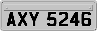 AXY5246