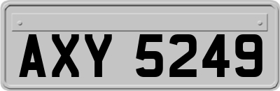AXY5249