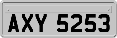 AXY5253