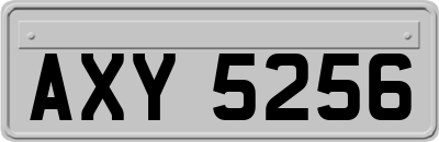 AXY5256