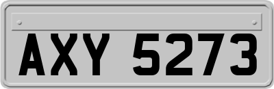 AXY5273