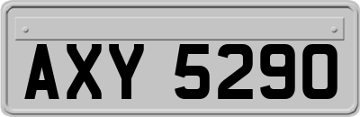 AXY5290