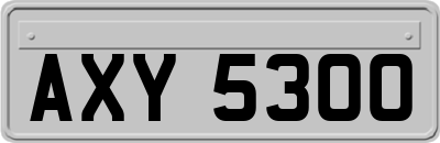 AXY5300