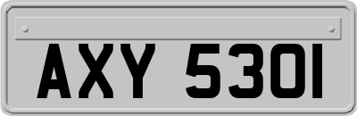 AXY5301