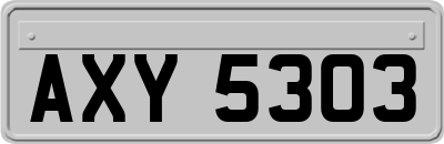 AXY5303