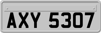 AXY5307