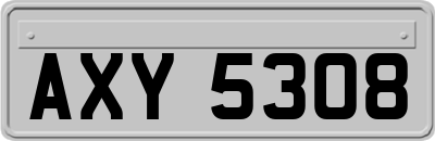 AXY5308