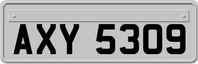 AXY5309