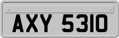 AXY5310