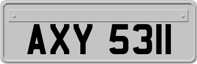 AXY5311